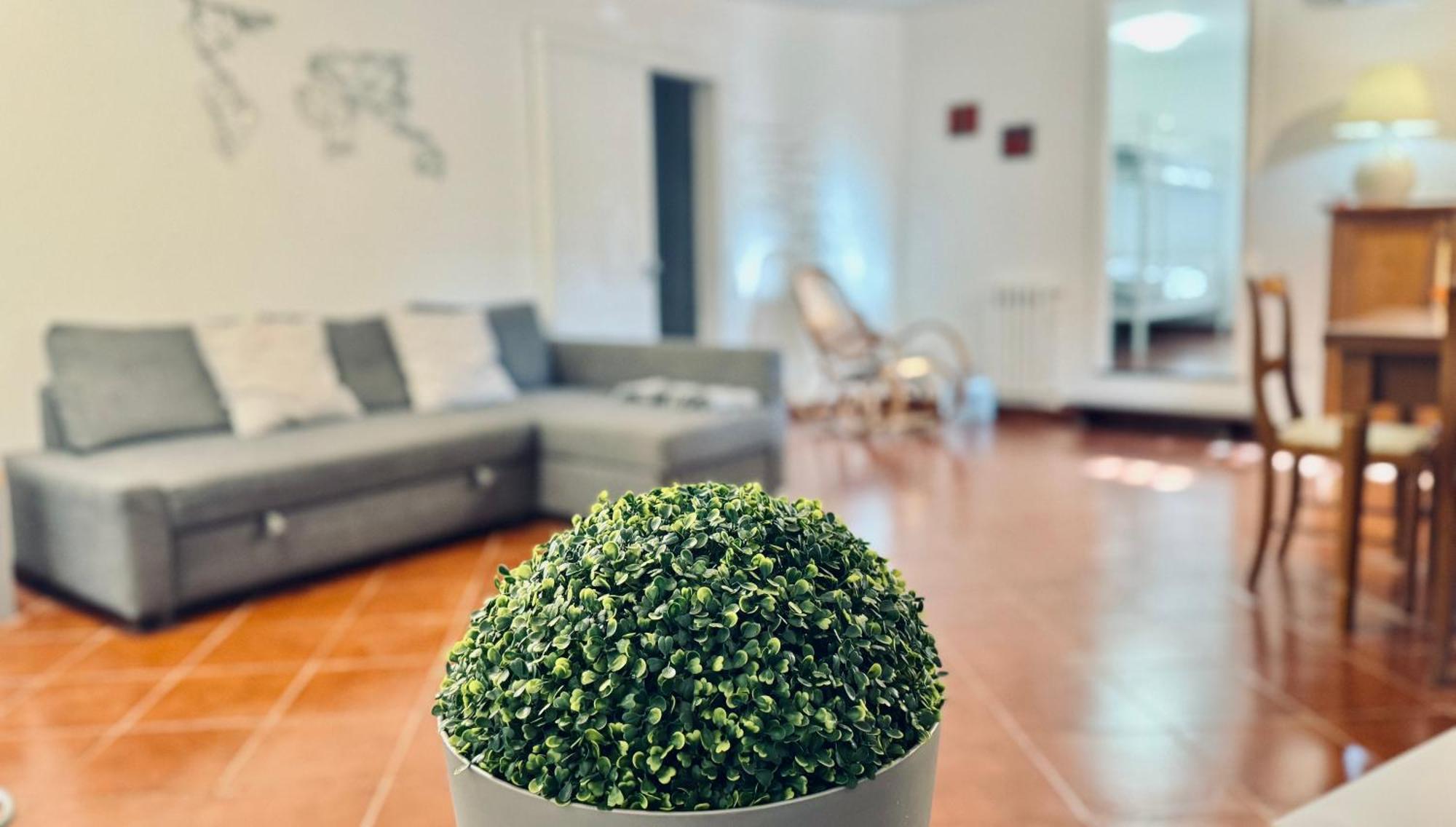 Seiundici Mondello Home Εξωτερικό φωτογραφία